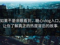 如果不是亲眼看到，糖心vlog入口，让你了解真正的热度背后的故事