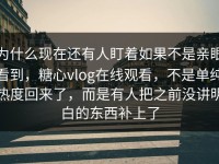 为什么现在还有人盯着如果不是亲眼看到，糖心vlog在线观看，不是单纯热度回来了，而是有人把之前没讲明白的东西补上了