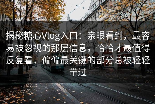 揭秘糖心Vlog入口：亲眼看到，最容易被忽视的那层信息，恰恰才最值得反复看，偏偏最关键的部分总被轻轻带过