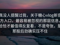 真没人提醒过我，关于糖心vlog新官方入口，最容易被忽视的那层信息，恰恰才最值得反复看，不是夸张，是那股后劲确实压不住