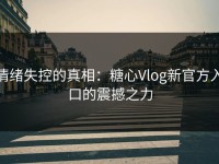情绪失控的真相：糖心Vlog新官方入口的震撼之力