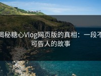 揭秘糖心Vlog网页版的真相：一段不可告人的故事