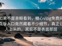 如果不是亲眼看到，糖心vlog免费网页版入口竟然藏着不少细节，真正让人上头的，其实不是表面那层