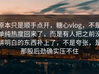 原本只是顺手点开，糖心vlog，不是单纯热度回来了，而是有人把之前没讲明白的东西补上了，不是夸张，是那股后劲确实压不住