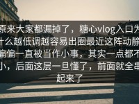 原来大家都漏掉了，糖心vlog入口为什么越低调越容易出圈最近这阵动静，偏偏一直被当作小事，其实一点都不小，后面这层一旦懂了，前面就全串起来了