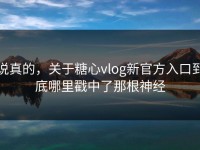 说真的，关于糖心vlog新官方入口到底哪里戳中了那根神经