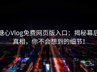 糖心Vlog免费网页版入口：揭秘幕后真相，你不会想到的细节！