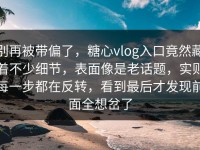 别再被带偏了，糖心vlog入口竟然藏着不少细节，表面像是老话题，实则每一步都在反转，看到最后才发现前面全想岔了