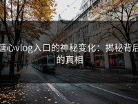糖心vlog入口的神秘变化：揭秘背后的真相