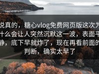 说真的，糖心vlog免费网页版这次为什么会让人突然沉默这一波，表面平静，底下早就炸了，现在再看前面的判断，确实太早了