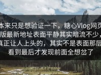 本来只是想验证一下，糖心Vlog网页版最新地址表面平静其实暗流不少，真正让人上头的，其实不是表面那层，看到最后才发现前面全想岔了