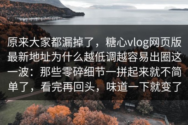 原来大家都漏掉了，糖心vlog网页版最新地址为什么越低调越容易出圈这一波：那些零碎细节一拼起来就不简单了，看完再回头，味道一下就变了