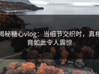 揭秘糖心vlog：当细节交织时，真相竟如此令人震惊