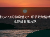 糖心vlog的神奇魅力：细节戳绘情绪，让你越看越沉默