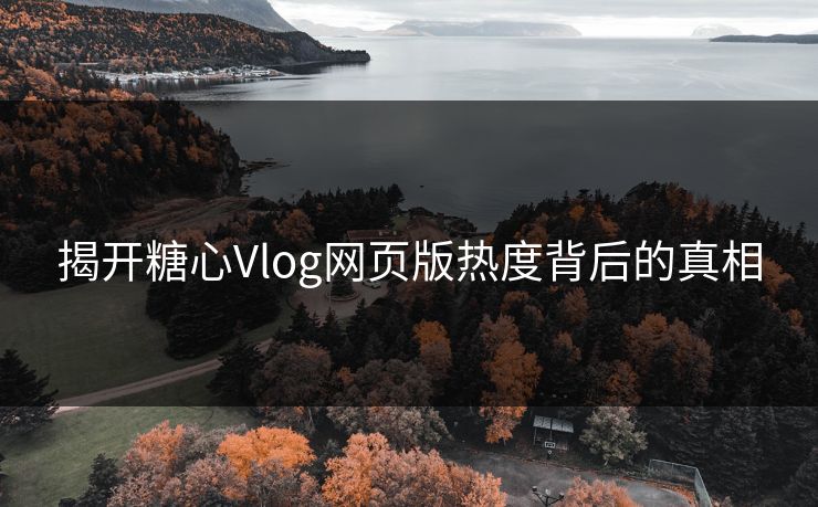 揭开糖心Vlog网页版热度背后的真相