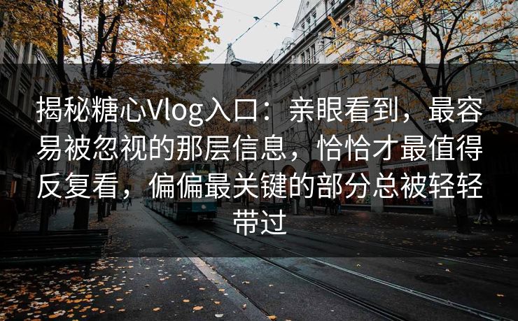 揭秘糖心Vlog入口：亲眼看到，最容易被忽视的那层信息，恰恰才最值得反复看，偏偏最关键的部分总被轻轻带过