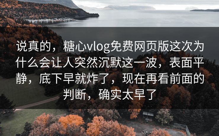 说真的，糖心vlog免费网页版这次为什么会让人突然沉默这一波，表面平静，底下早就炸了，现在再看前面的判断，确实太早了