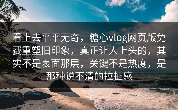 看上去平平无奇，糖心vlog网页版免费重塑旧印象，真正让人上头的，其实不是表面那层，关键不是热度，是那种说不清的拉扯感