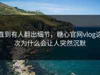 直到有人翻出细节，糖心官网vlog这次为什么会让人突然沉默