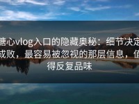 糖心vlog入口的隐藏奥秘：细节决定成败，最容易被忽视的那层信息，值得反复品味