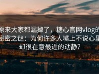 原来大家都漏掉了，糖心官网vlog的秘密之谜：为何许多人嘴上不说心里却很在意最近的动静？