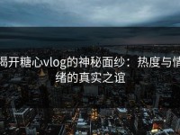 揭开糖心vlog的神秘面纱：热度与情绪的真实之谊