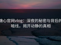 糖心官网vlog：深夜的秘密与背后的暗线，揭开动静的真相