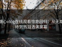 糖心vlog在线观看惊艳回归：从无期待到热泪洒满屏幕