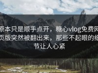 原本只是顺手点开，糖心vlog免费网页版突然被翻出来，那些不起眼的细节让人心紧