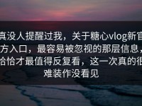 真没人提醒过我，关于糖心vlog新官方入口，最容易被忽视的那层信息，恰恰才最值得反复看，这一次真的很难装作没看见
