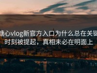 糖心vlog新官方入口为什么总在关键时刻被提起，真相未必在明面上