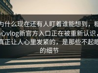 为什么现在还有人盯着谁能想到，糖心vlog新官方入口正在被重新认识，真正让人心里发紧的，是那些不起眼的细节