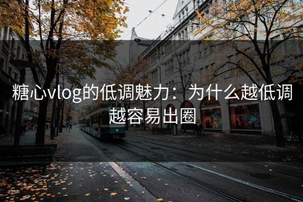 糖心vlog的低调魅力：为什么越低调越容易出圈
