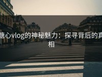 糖心vlog的神秘魅力：探寻背后的真相