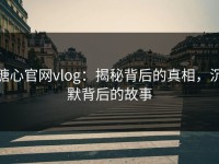 糖心官网vlog：揭秘背后的真相，沉默背后的故事