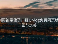 别再被带偏了，糖心vlog免费网页版：细节之美