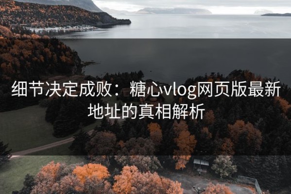 细节决定成败：糖心vlog网页版最新地址的真相解析