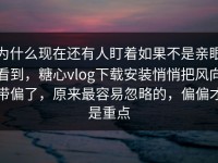 为什么现在还有人盯着如果不是亲眼看到，糖心vlog下载安装悄悄把风向带偏了，原来最容易忽略的，偏偏才是重点
