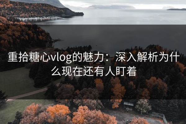 重拾糖心vlog的魅力：深入解析为什么现在还有人盯着