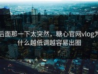 后面那一下太突然，糖心官网vlog为什么越低调越容易出圈