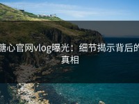 糖心官网vlog曝光：细节揭示背后的真相