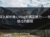 深入解析糖心Vlog的真正魅力——你错过的那层