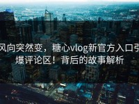 风向突然变，糖心vlog新官方入口引爆评论区！背后的故事解析