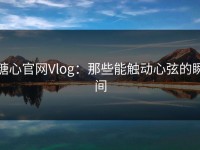 糖心官网Vlog：那些能触动心弦的瞬间