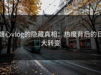 糖心vlog的隐藏真相：热度背后的巨大转变