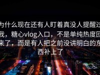 为什么现在还有人盯着真没人提醒过我，糖心vlog入口，不是单纯热度回来了，而是有人把之前没讲明白的东西补上了