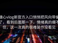 糖心vlog新官方入口悄悄把风向带偏了，看到后面那一下，情绪真的绷不住，这一次真的很难装作没看见