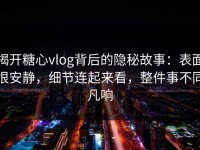 揭开糖心vlog背后的隐秘故事：表面很安静，细节连起来看，整件事不同凡响