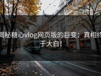 揭秘糖心vlog网页版的巨变：真相终于大白！