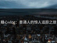 糖心vlog：普通人的惊人追踪之旅